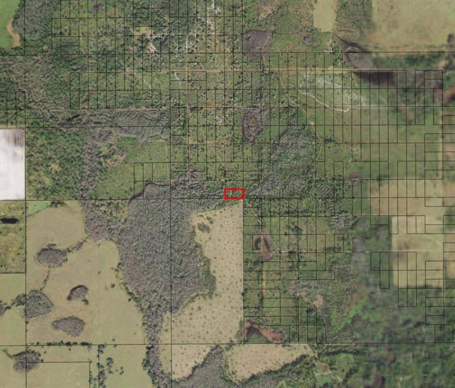 Frostproof, FL 33898,0 Xeriscape Nursery Rd