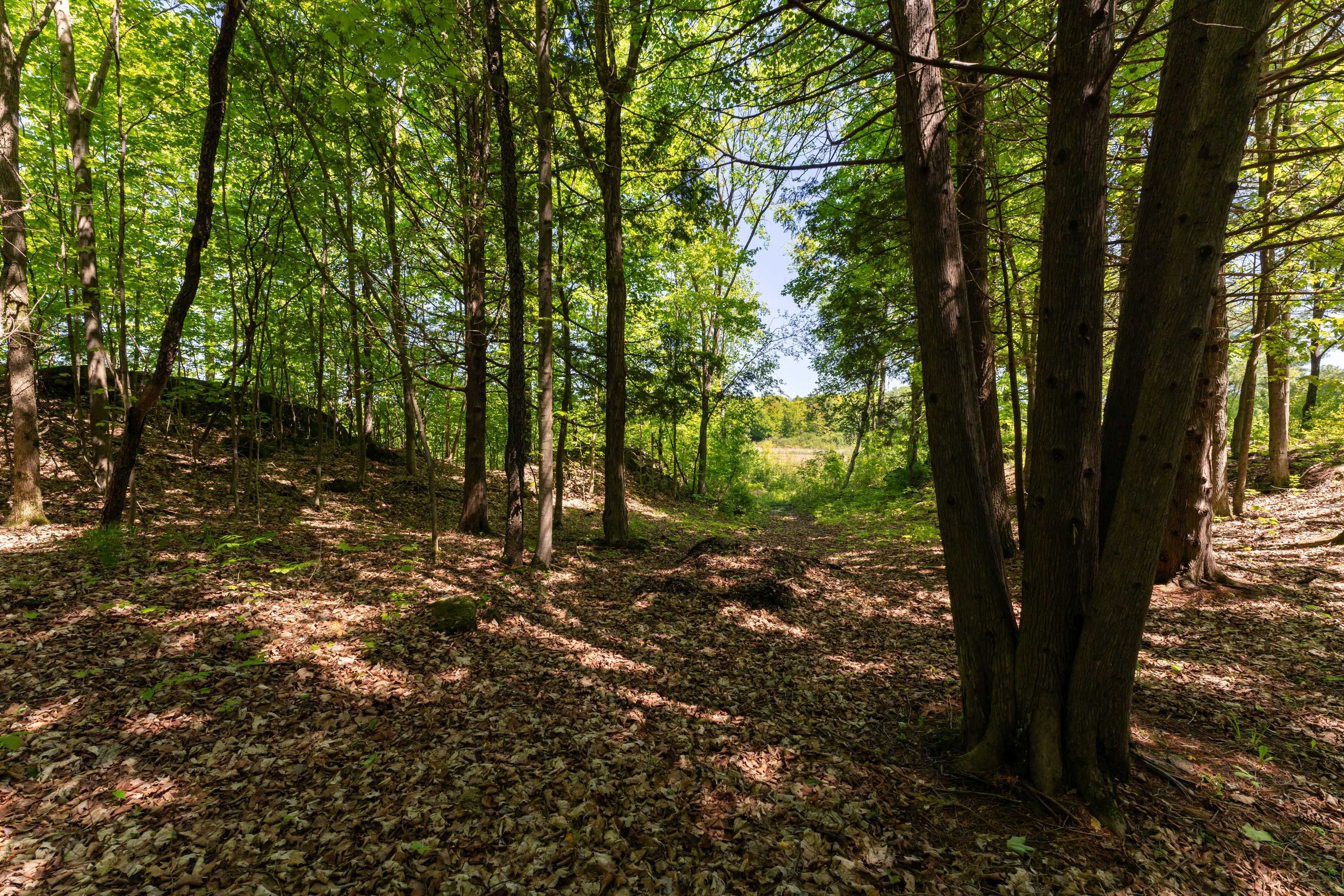 Frontenac, ON K0H 2L0,Pt 2 Spring Mill LN