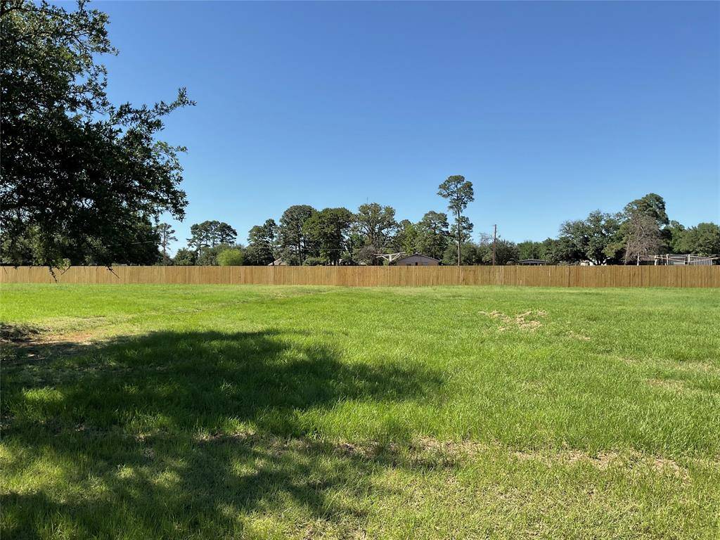 Krugerville, TX 76227,TBD Lot 3 Surveyors Road