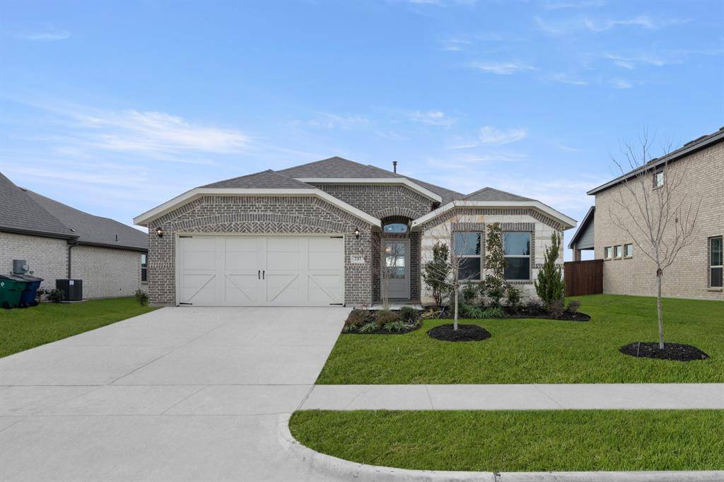 Waxahachie, TX 75165,737 Scarlet Sage