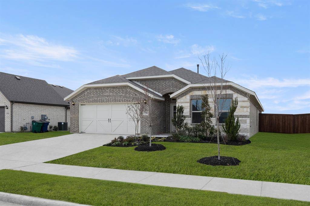 Waxahachie, TX 75165,737 Scarlet Sage