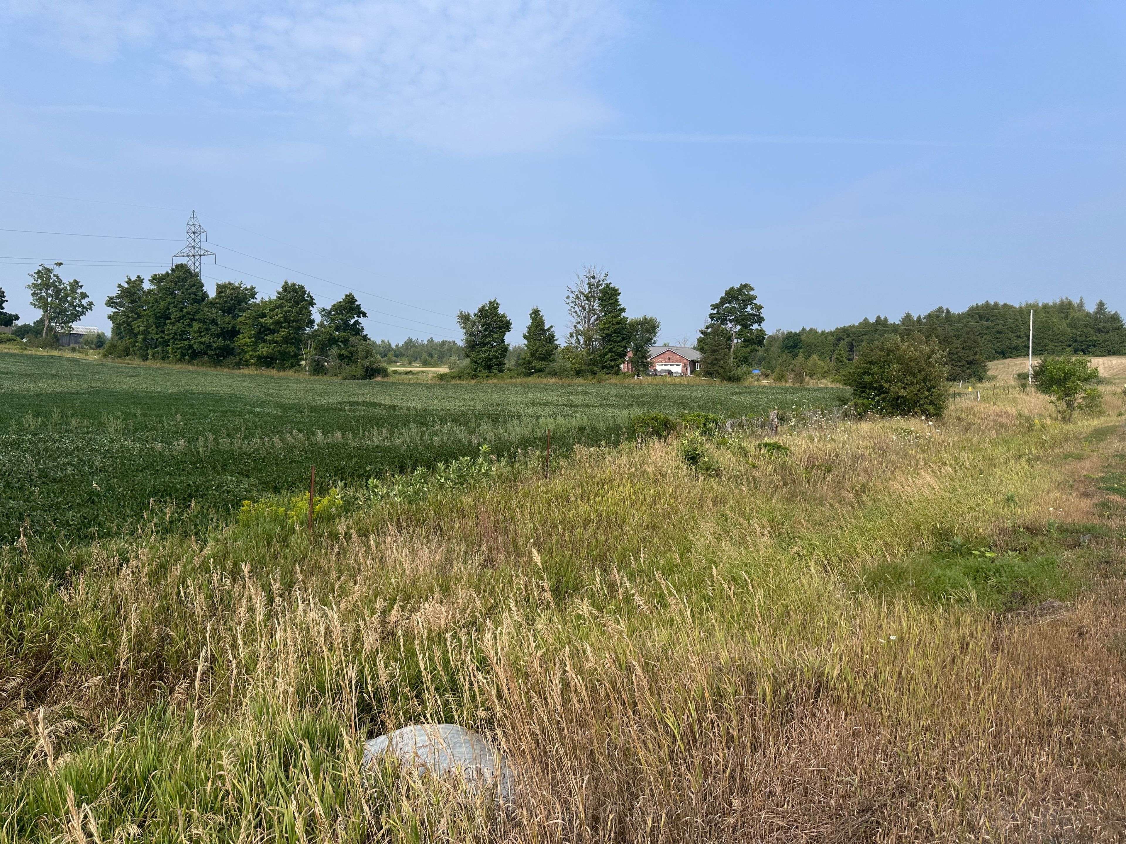 Douro-dummer, ON K0L 2H0,Lot B Douro Second Line