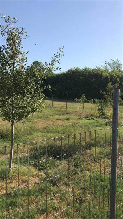 Rowlett, TX 75088,7008 Garner Road