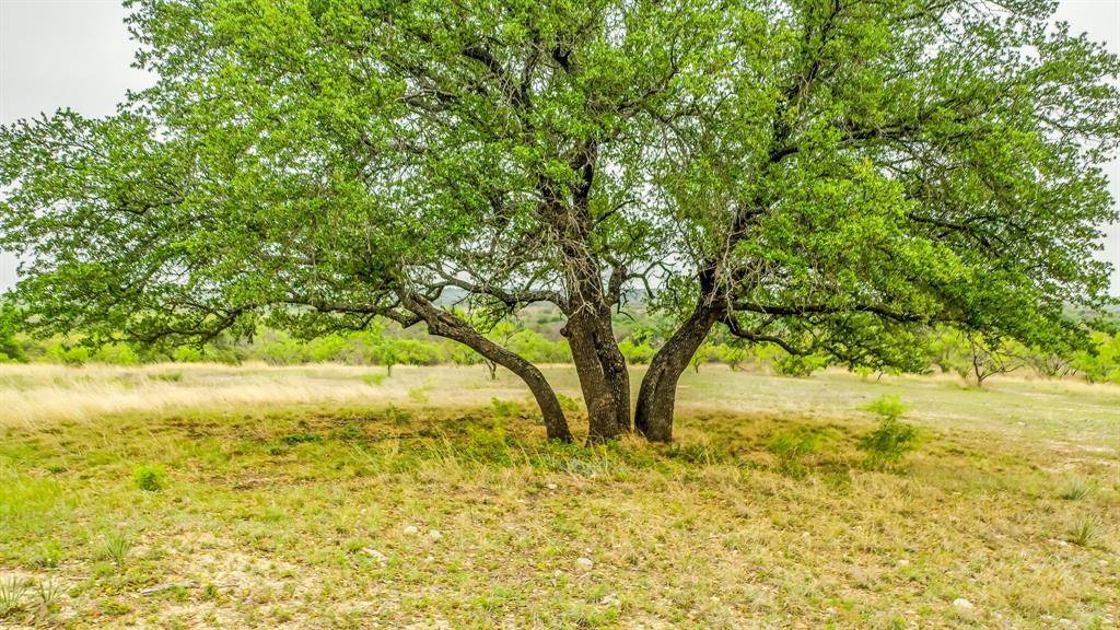 Blanket, TX 76432,Lot 3 County Road 332
