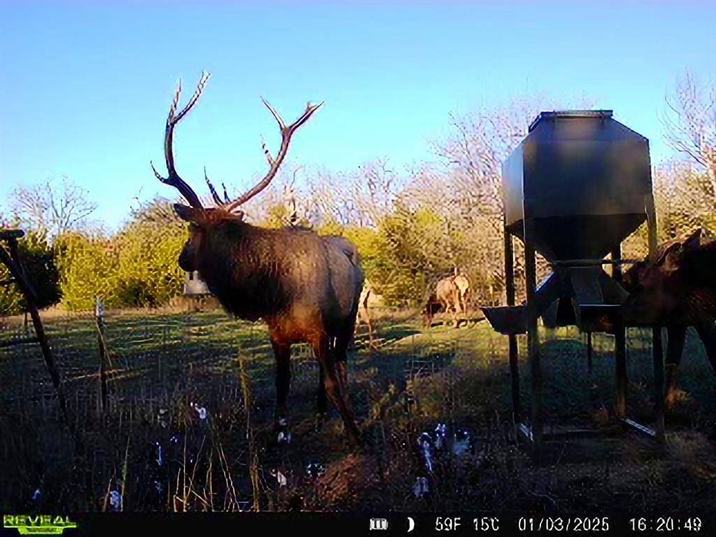 Mcalester, OK 74538,000 N3840 Road