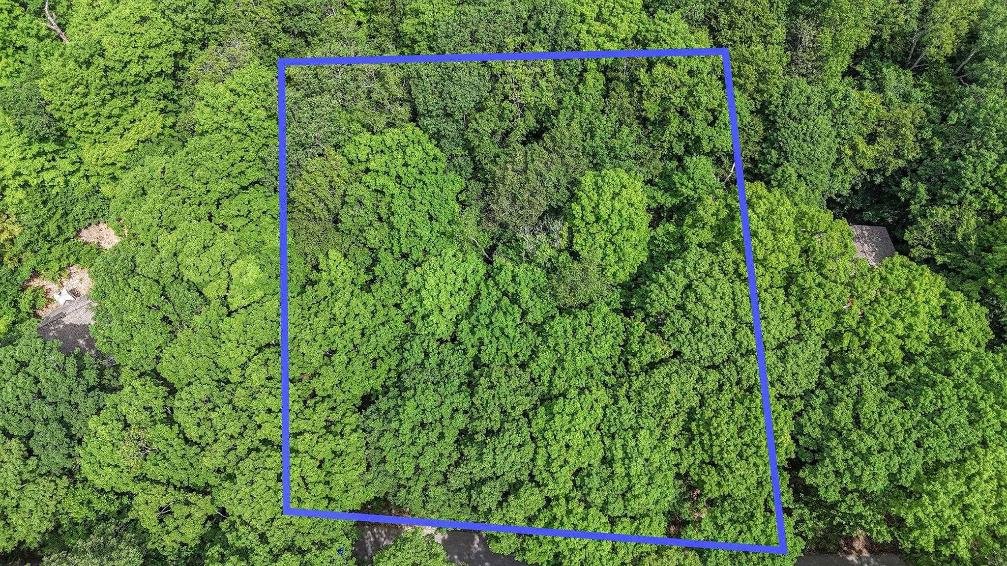 Beulah, MI 49617,Lot 4 Spring Valley RD