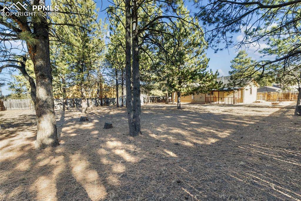 Woodland Park, CO 80863,1260 Sundance ST