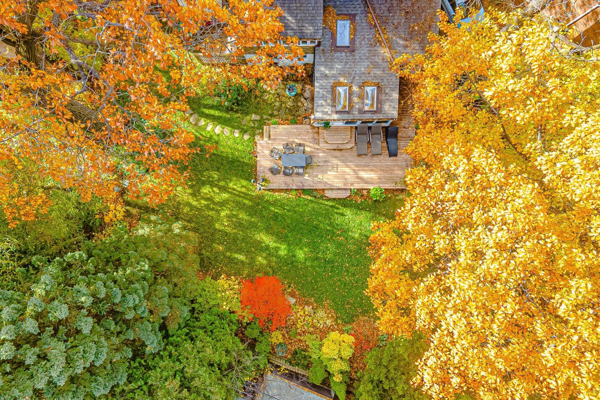 Toronto C02, ON M6G 2C7,91 Braemore GDNS