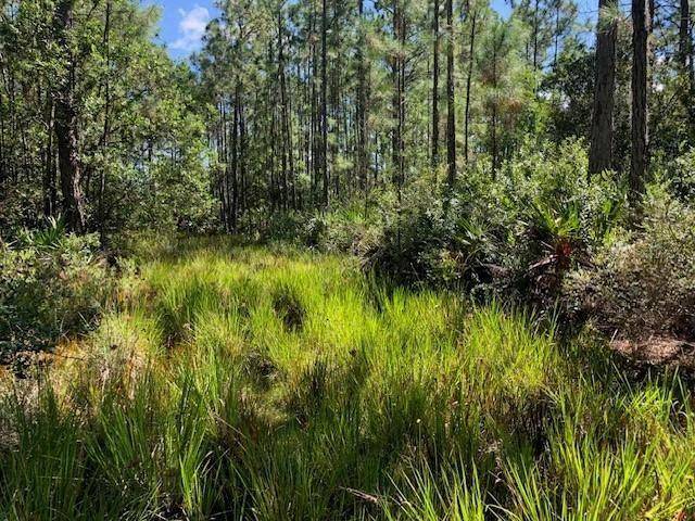 Other City - In The State Of Florida, FL 33868,0 Old Grade Rd