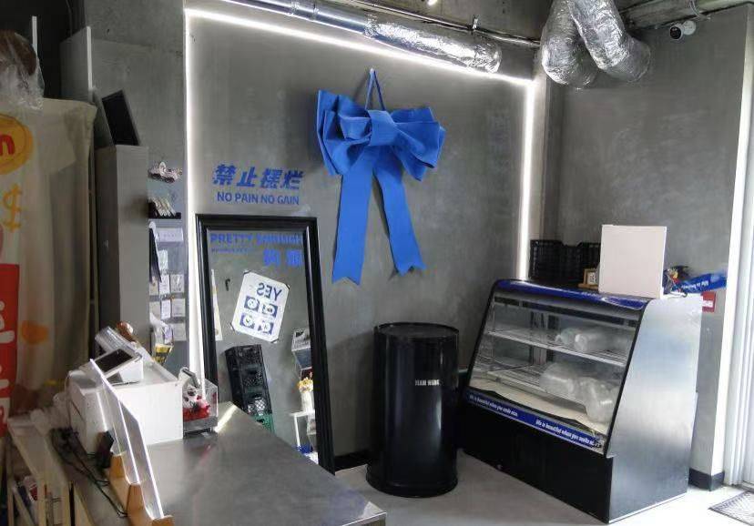 Markham, ON L3R 5T5,28 South Unionville AVE #7