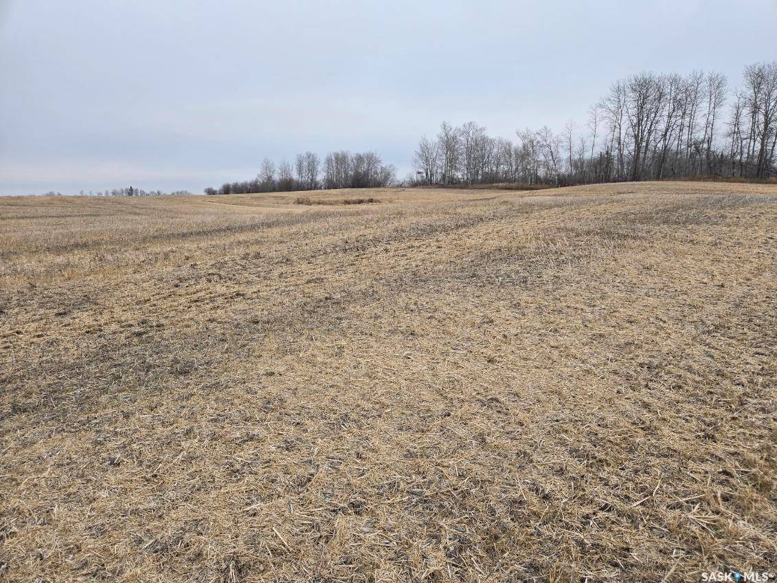 Canwood Rm No. 494, SK S0J 0K0,Rural Address