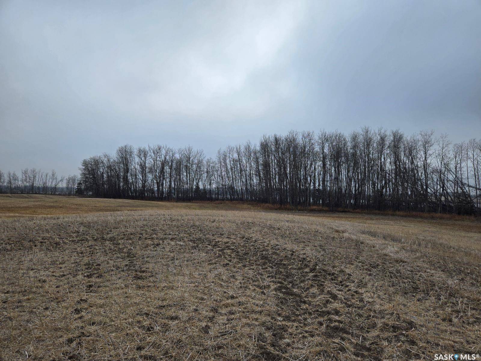 Canwood Rm No. 494, SK S0J 0K0,Rural Address