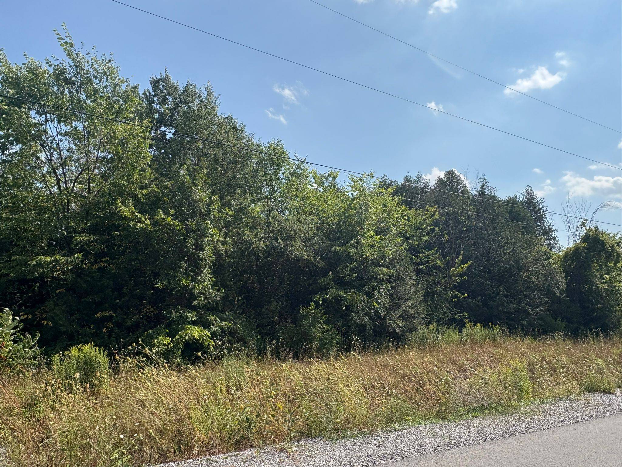 Greely - Metcalfe - Osgoode - Vernon And Area, ON K4P 1H2,6248 Nick Adams RD