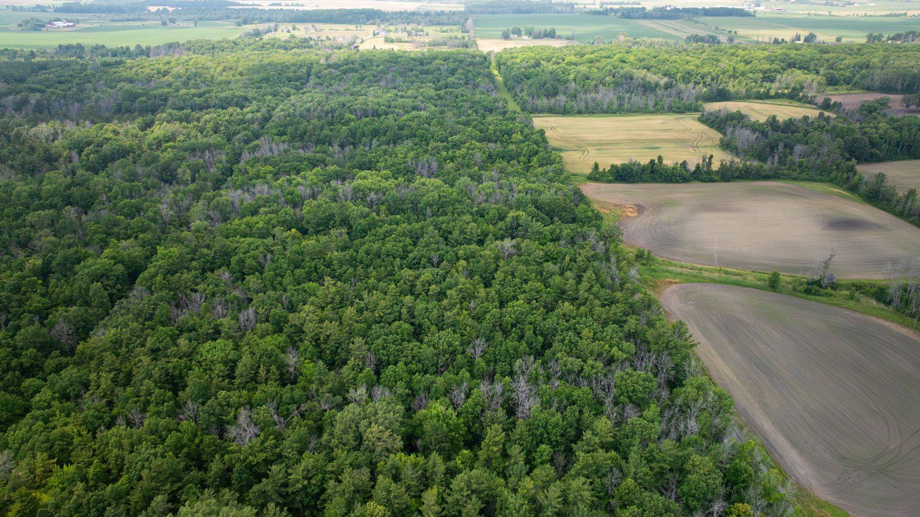 Loyalist, ON K0H 1G0,Lot C Townline RD