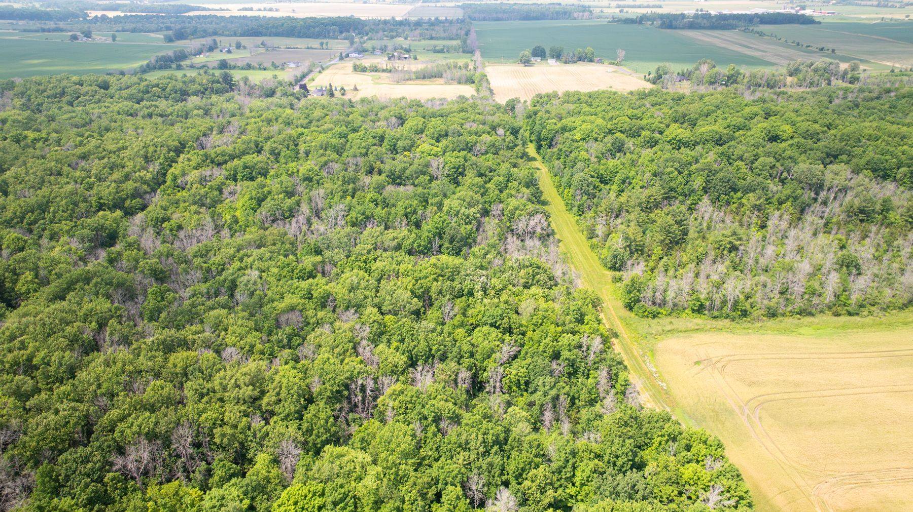 Loyalist, ON K0H 1G0,Lot C Townline RD