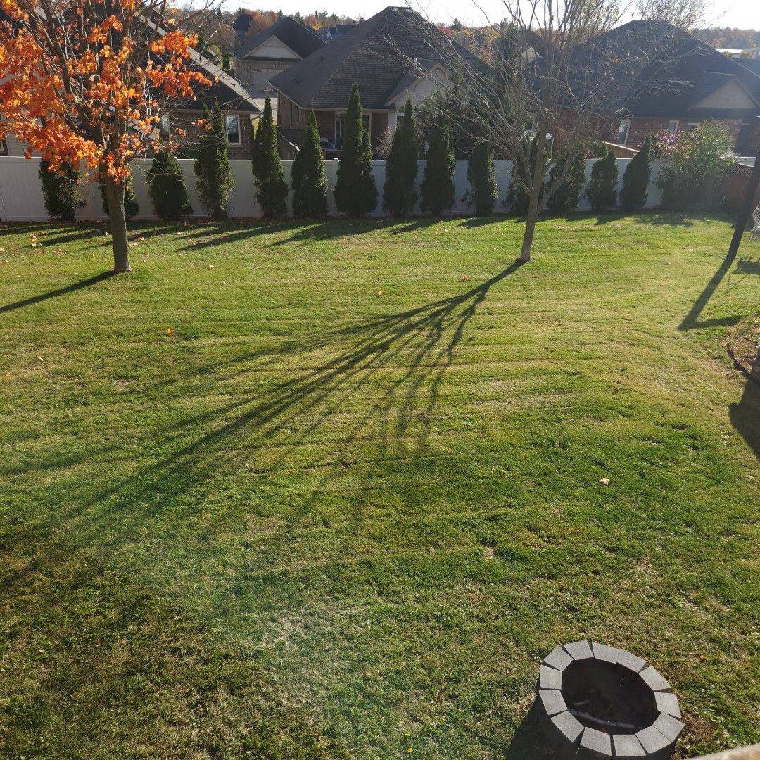 Tillsonburg, ON N4G 1B9,39 North ST W