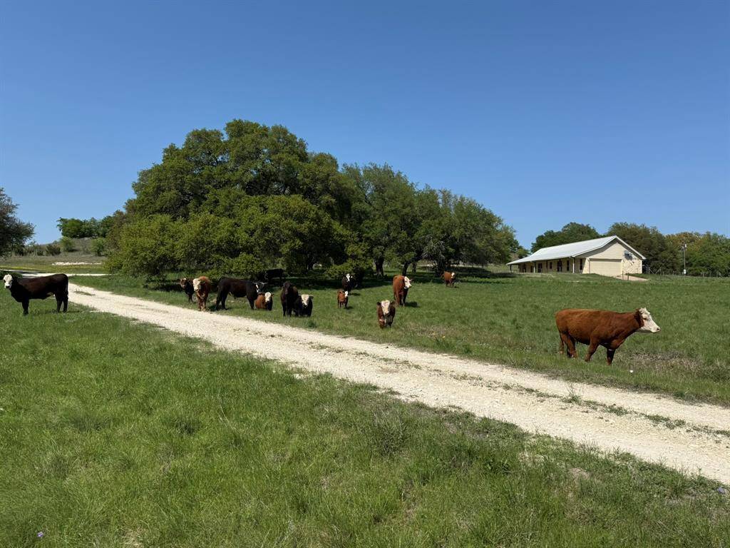 Oglesby, TX 76561,3399 CR 267