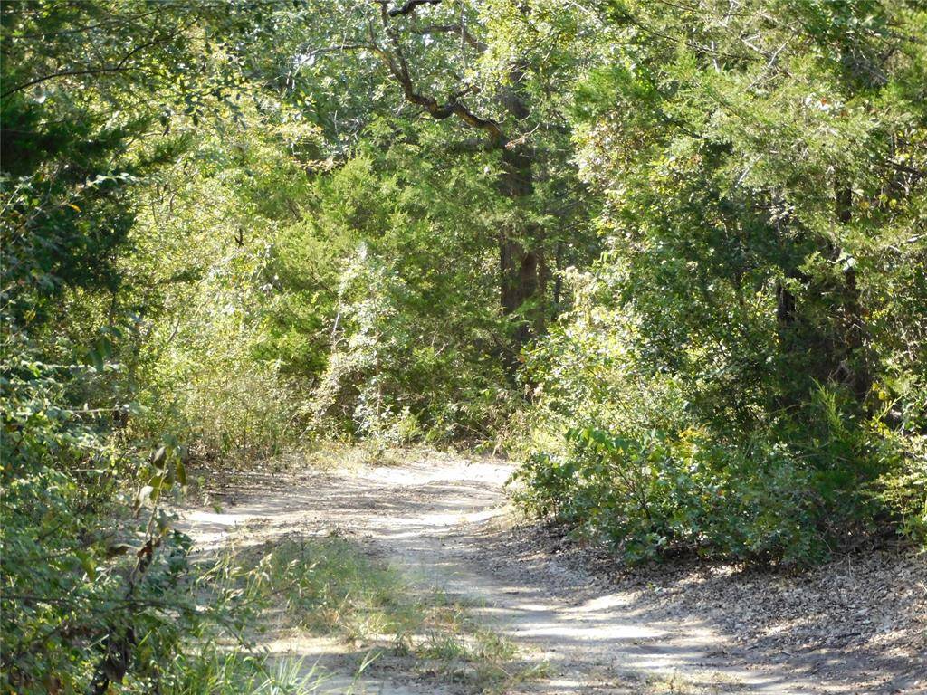 Hubbard, TX 76648,451 HCR3335 Road