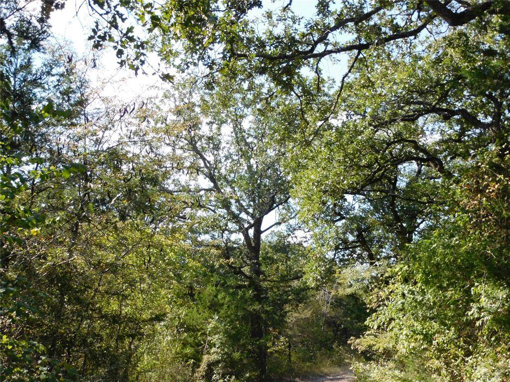 Hubbard, TX 76648,451 HCR3335 Road