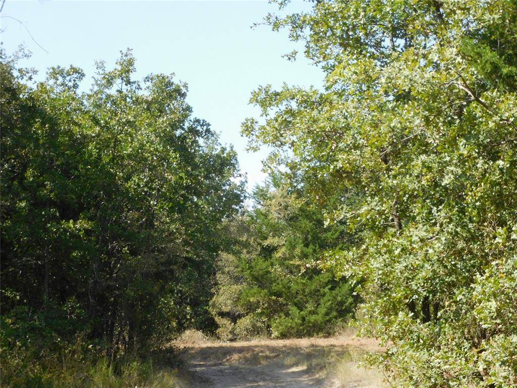 Hubbard, TX 76648,451 HCR3335 Road