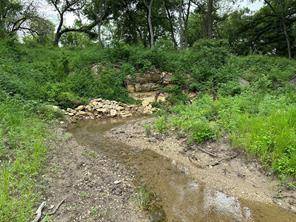 Itasca, TX 76055,Lot 3 Ranchside Court