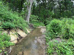 Itasca, TX 76055,Lot 3 Ranchside Court