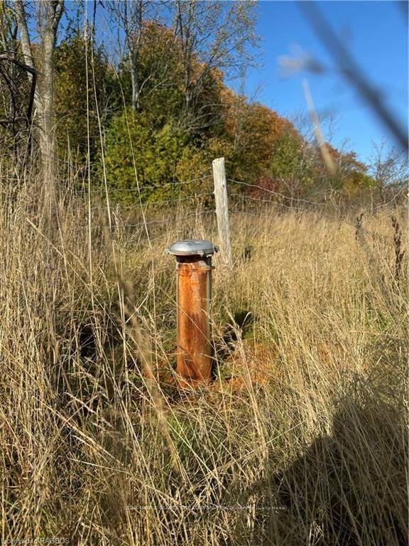 Northern Bruce Peninsula, ON N0H 1W0,3288 HWY 6 N/A