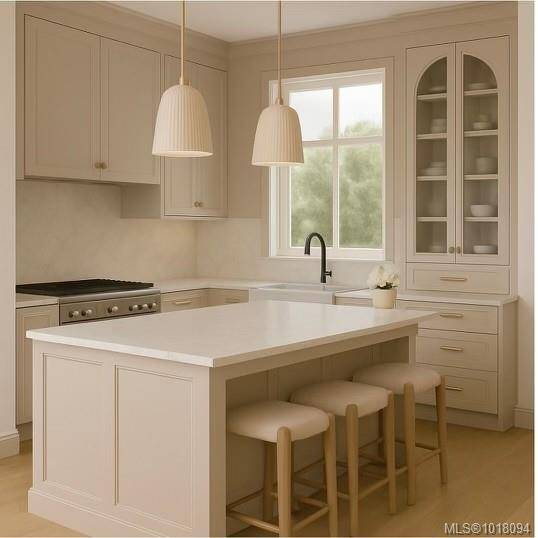 Oak Bay, BC V8S 4X5,786 St. Patrick St #B