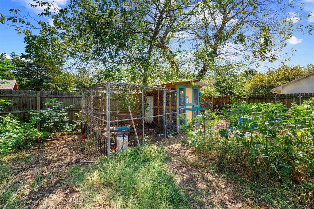 Tioga, TX 76271,800 Cutler Street