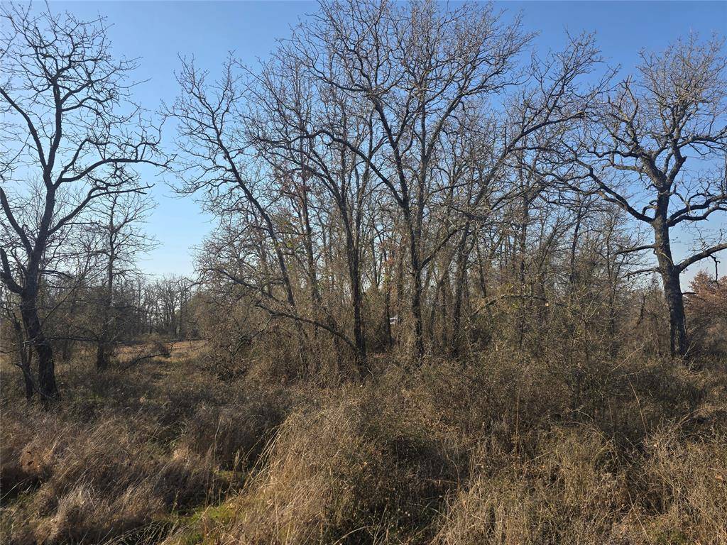 Poolville, TX 76487,1017 VH Ranch Road