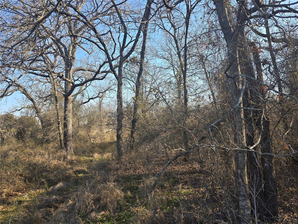 Poolville, TX 76487,1017 VH Ranch Road