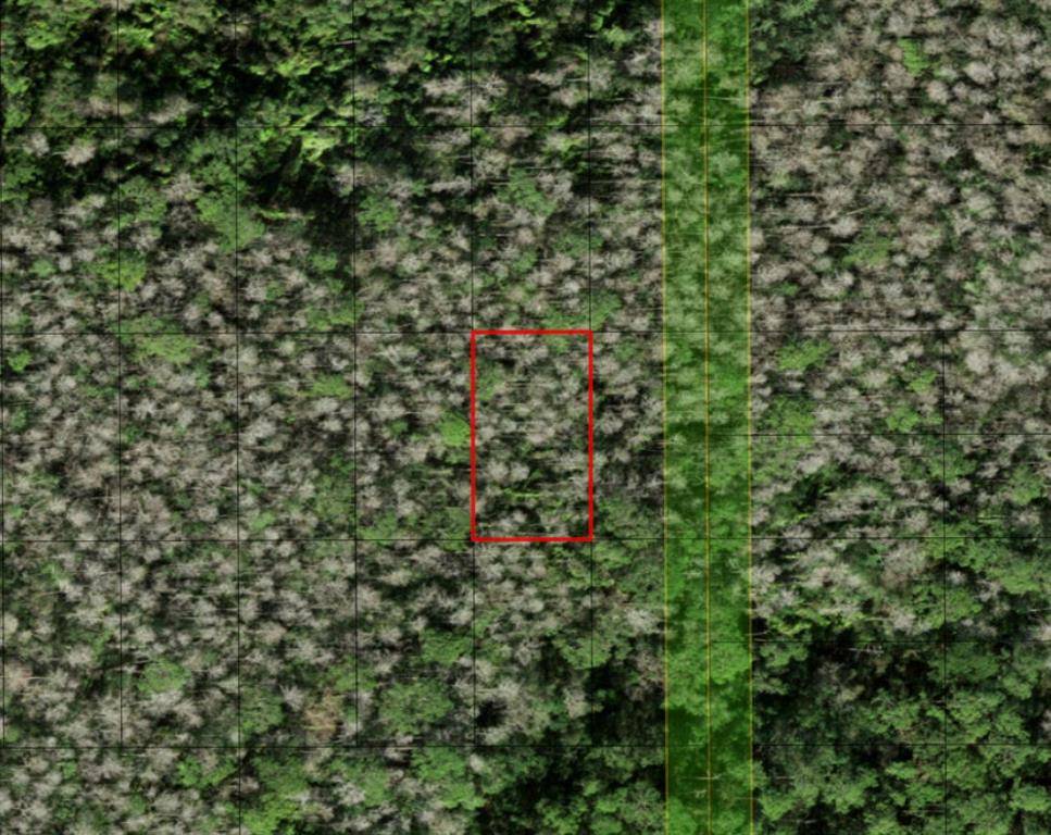 St. Cloud, FL 34772,0 HOLOPAW GROVES RD