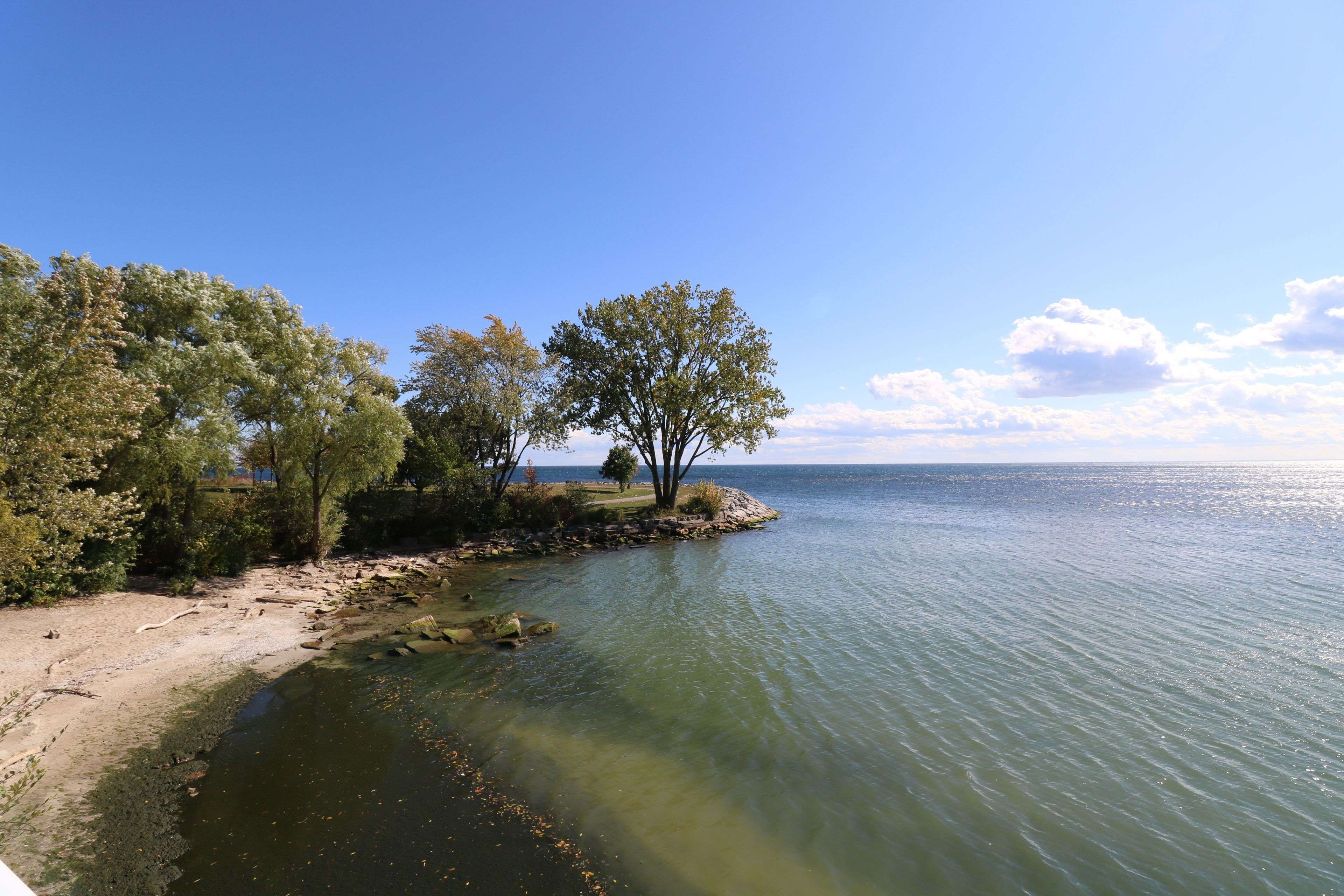 Toronto W06, ON M8V 3G2,7 Eleventh ST