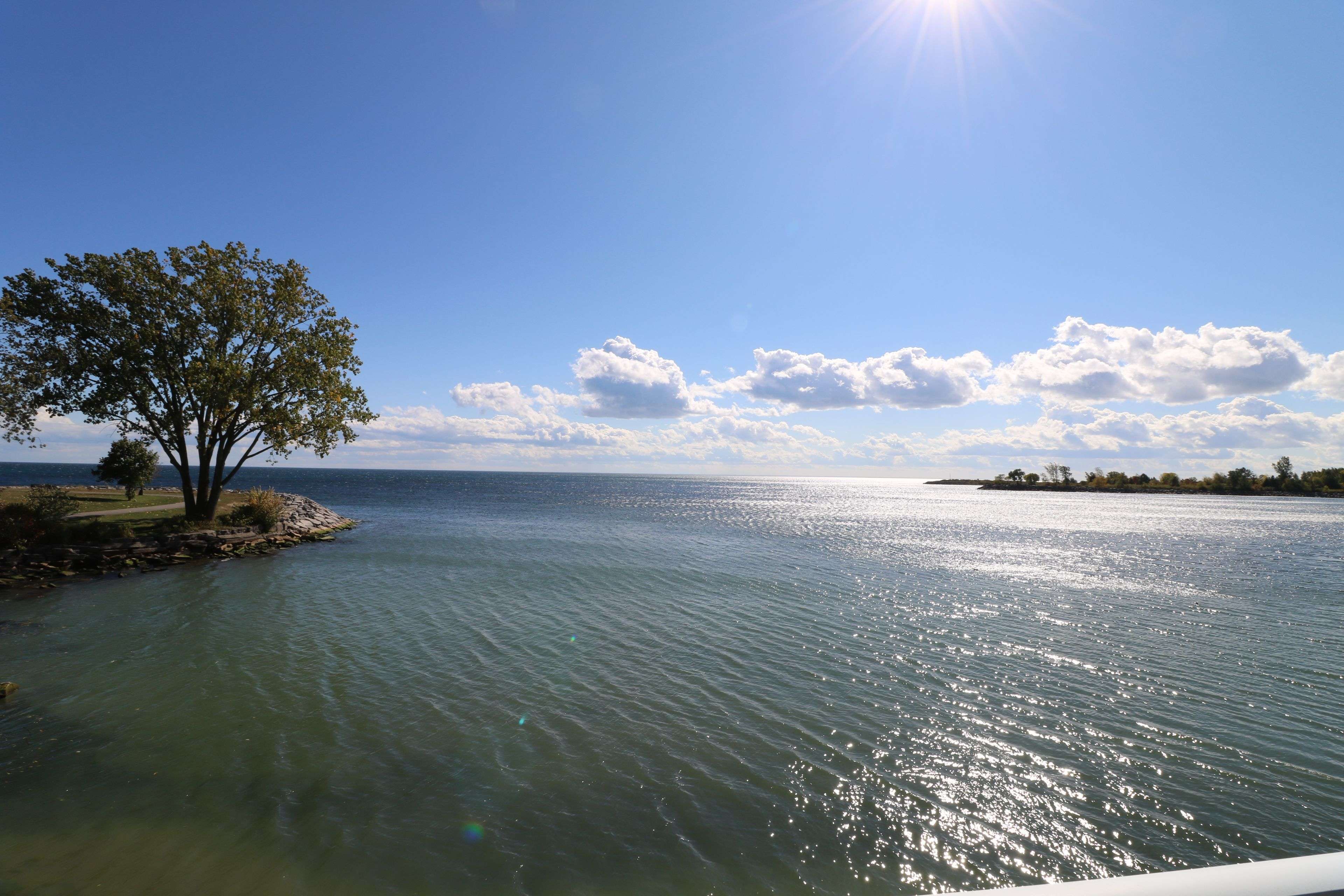 Toronto W06, ON M8V 3G2,7 Eleventh ST