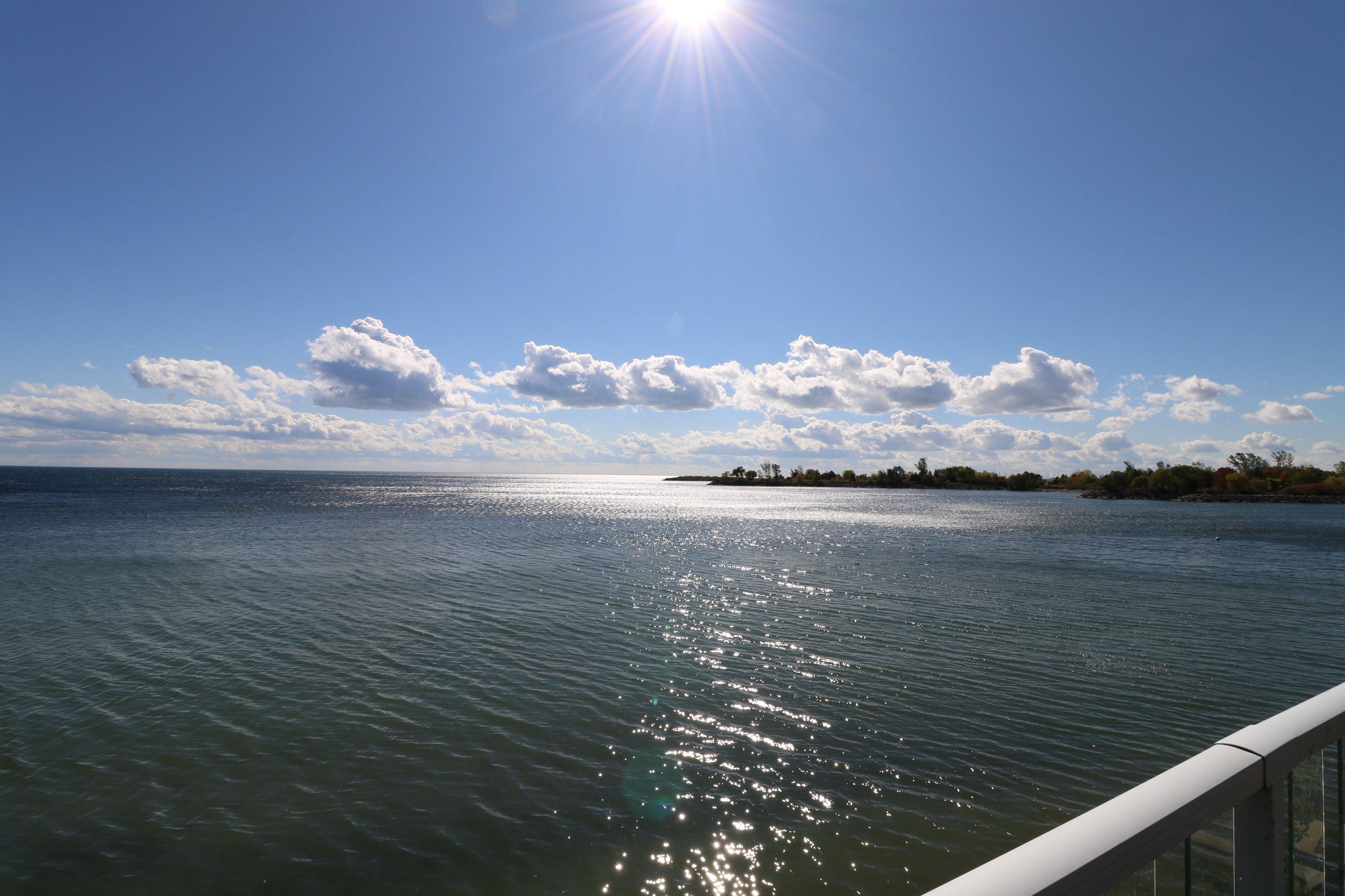 Toronto W06, ON M8V 3G2,7 Eleventh ST