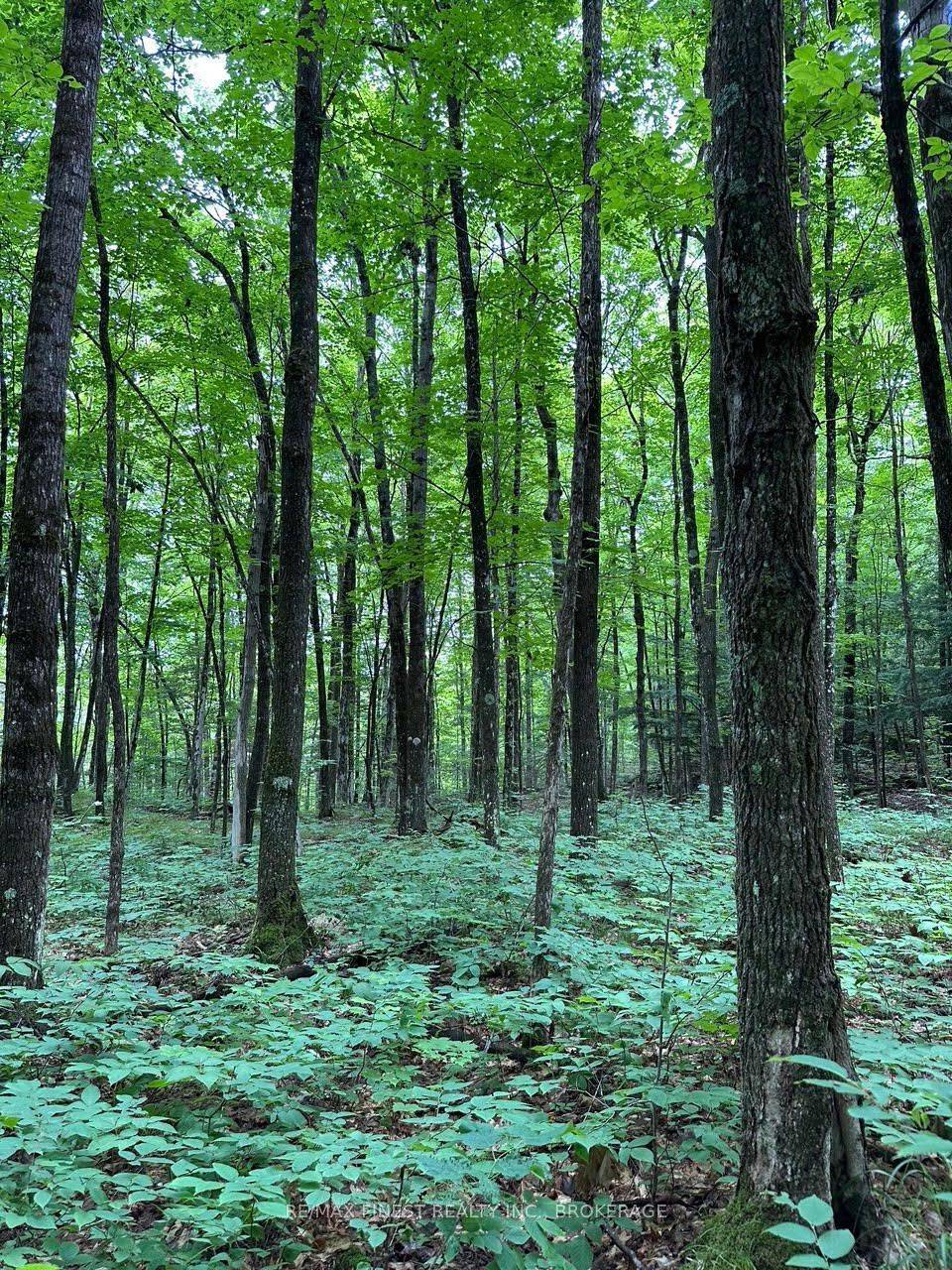 Frontenac, ON K0H 2C0,1042 St Pierre RD