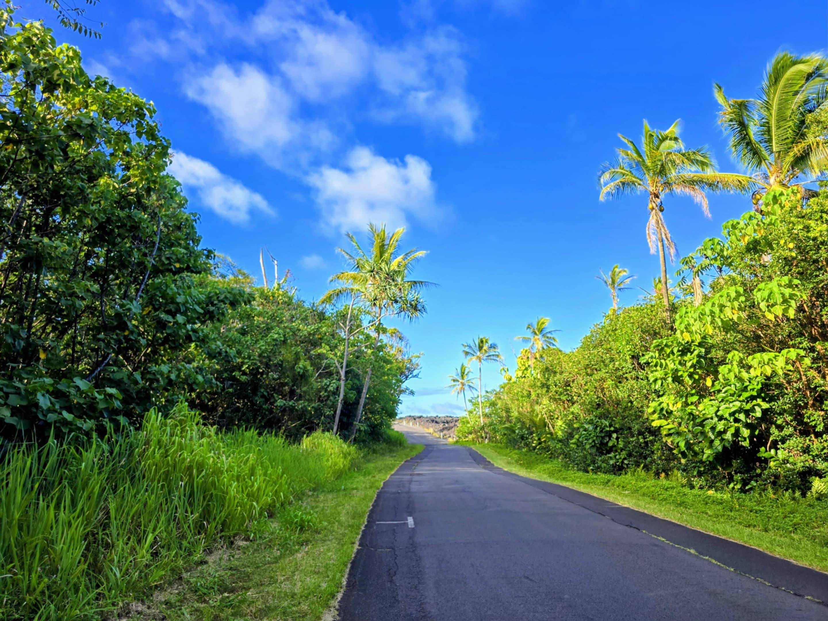 Pahoa, HI 96778,POHOIKI KALAPANA RD
