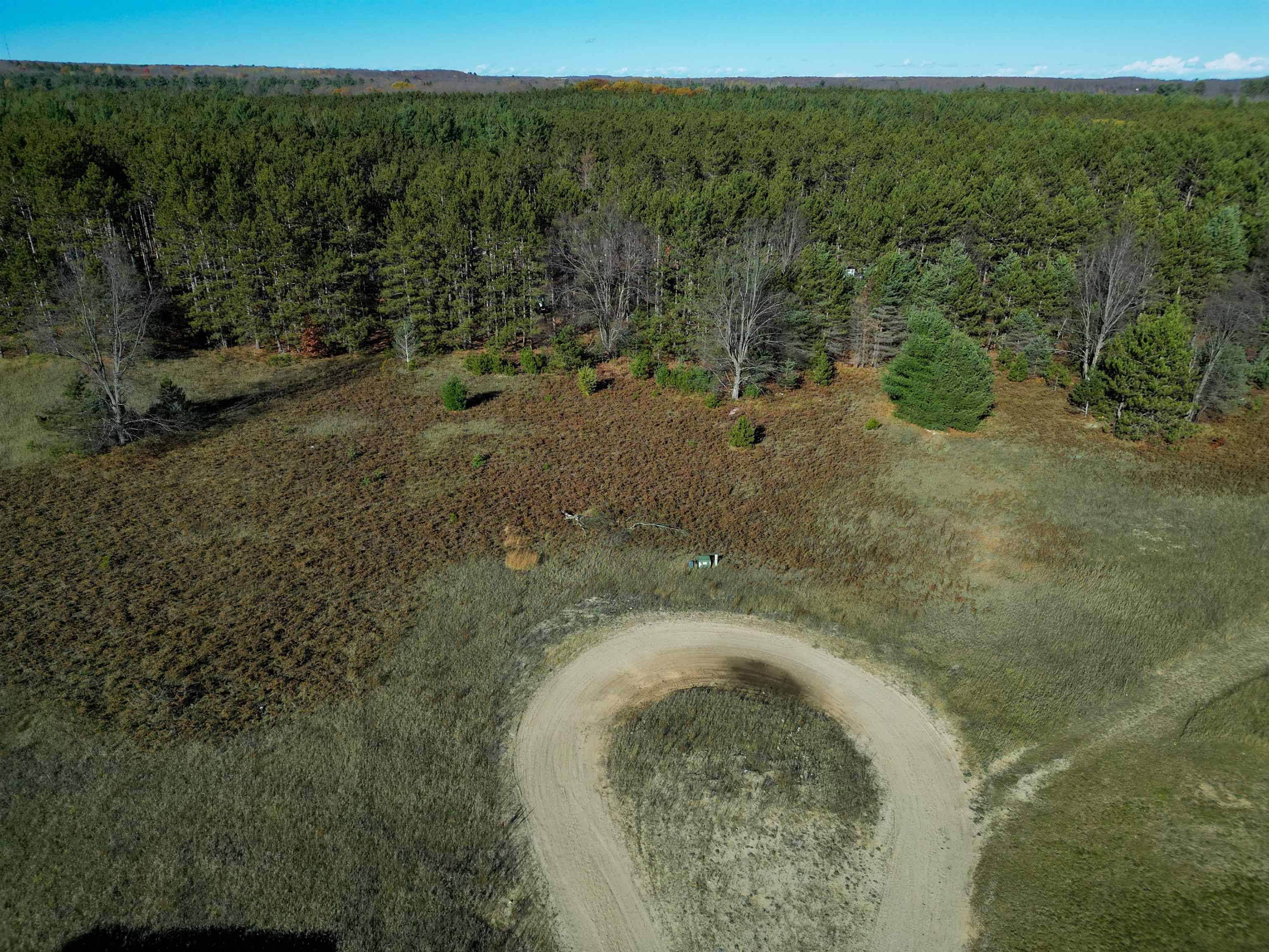 Lake Ann, MI 49650,TBD Tiger DR