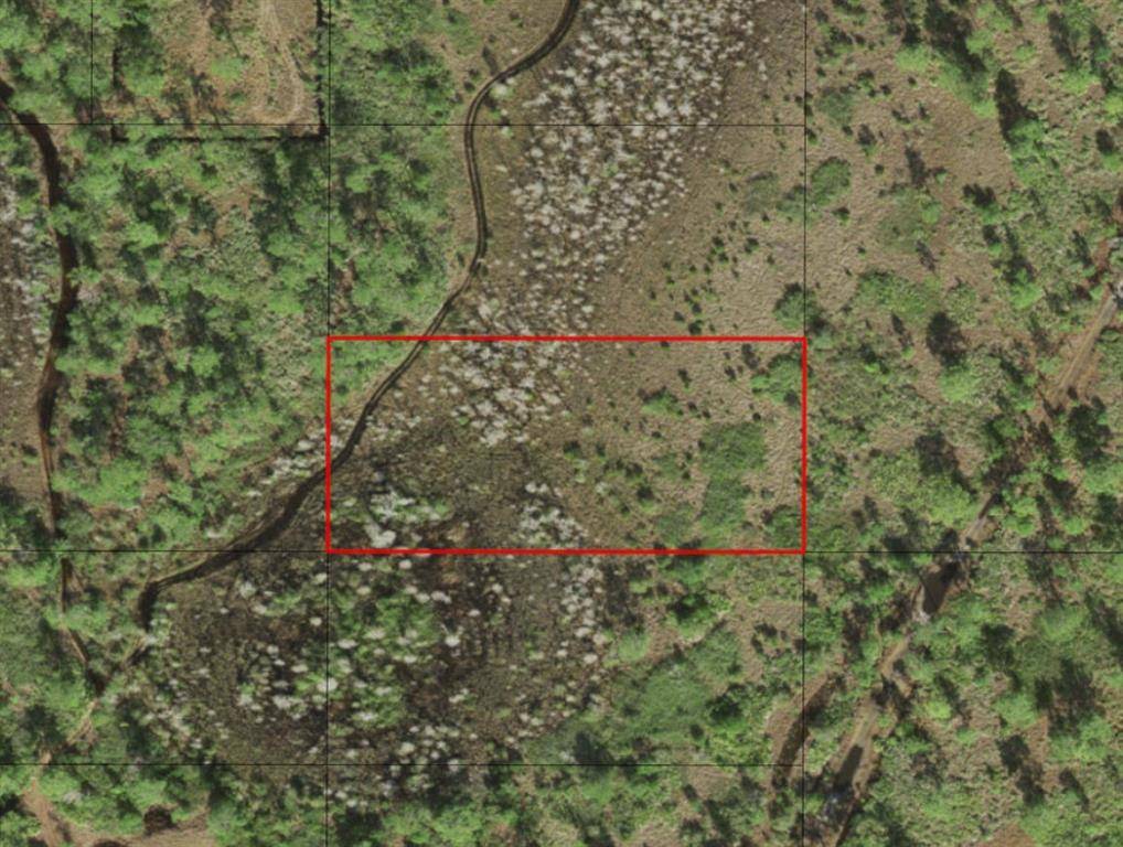 St. Cloud, FL 34772,0 HOLOPAW GROVES RD