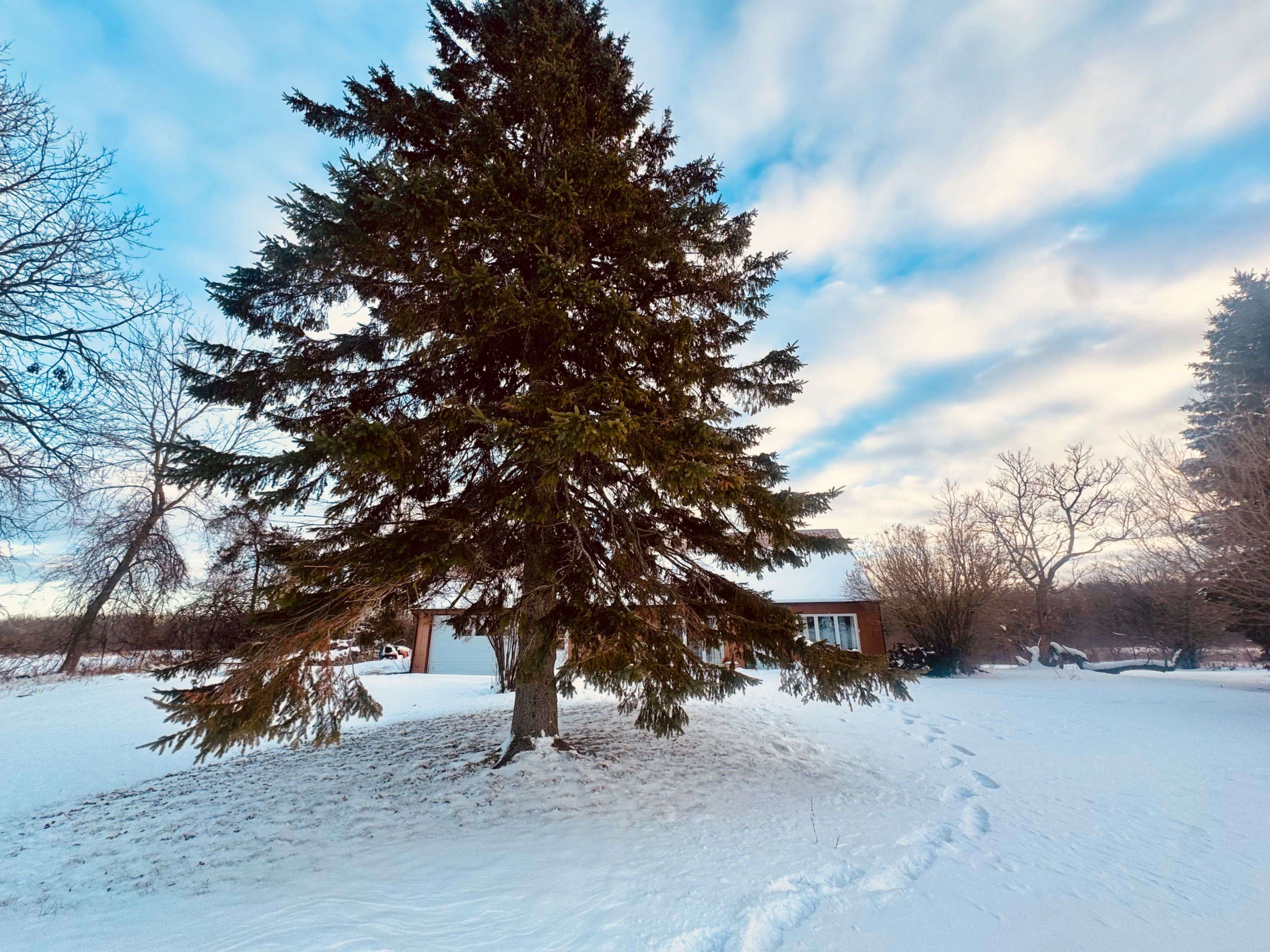 Loyalist, ON K0H 1G0,2268 Mcintyre RD