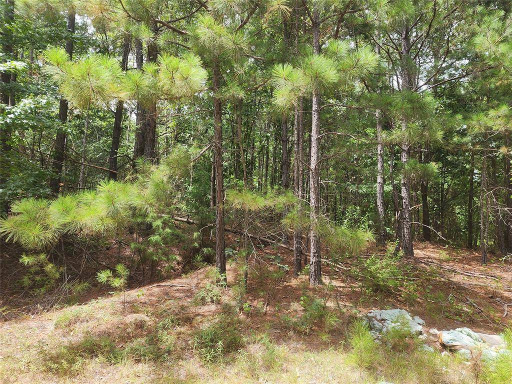 Quitman, TX 75783,9999 County Road 2140