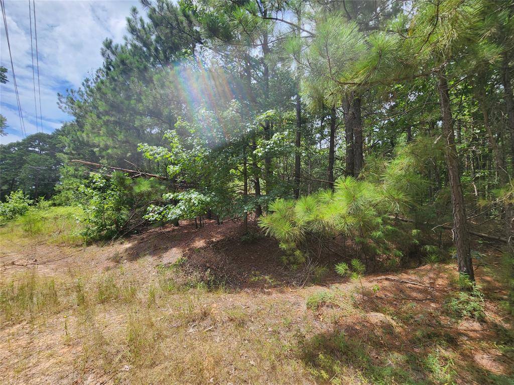 Quitman, TX 75783,9999 County Road 2140