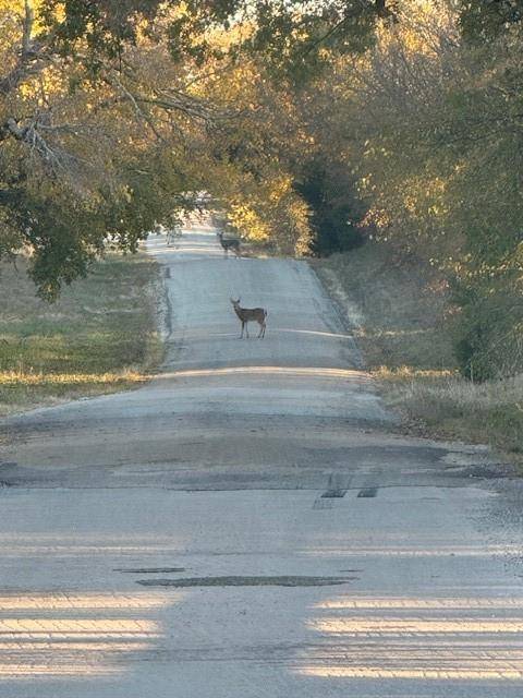 Nocona, TX 76255,3151 Brookmole Road