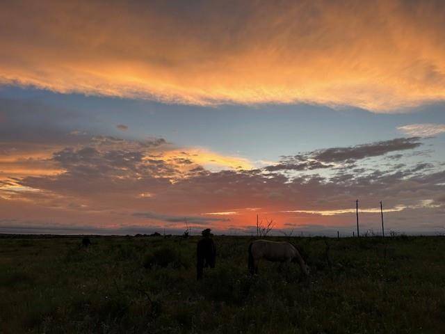 Nocona, TX 76255,3151 Brookmole Road