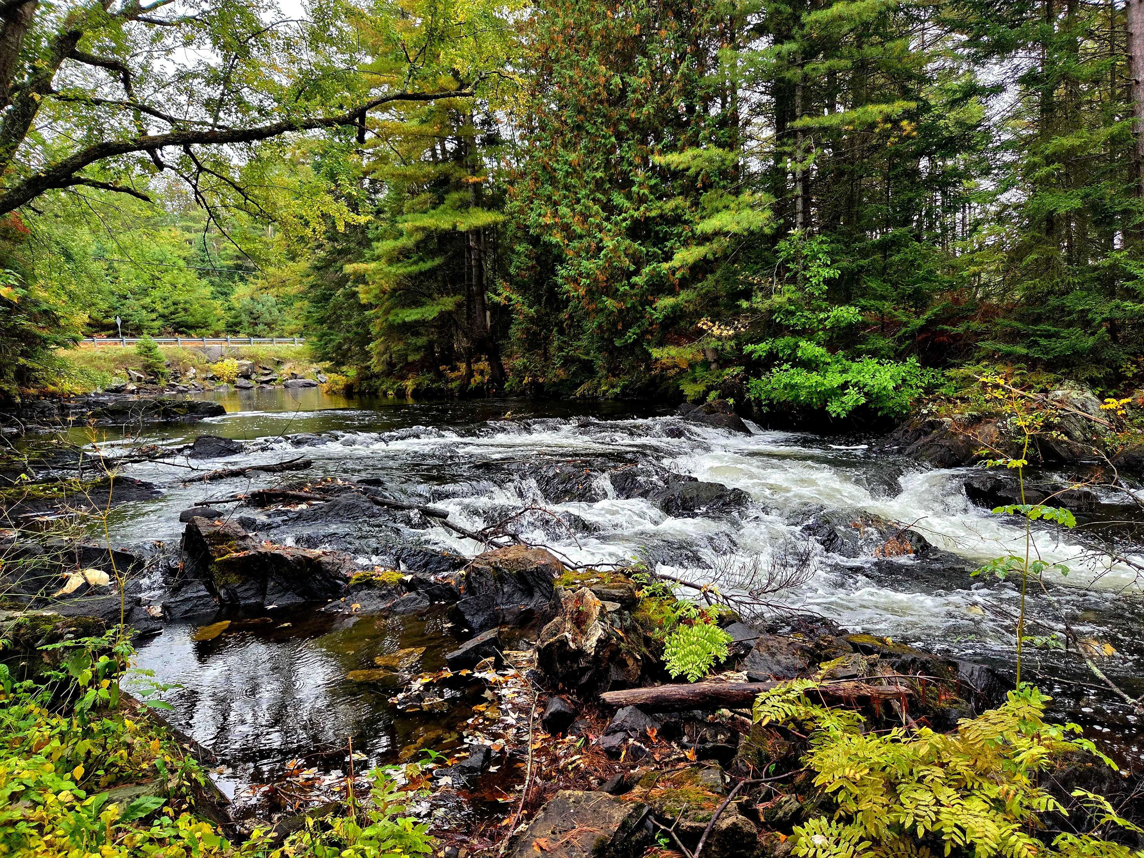 North Kawartha, ON K0L 1A0,8847 Highway 28 N/A