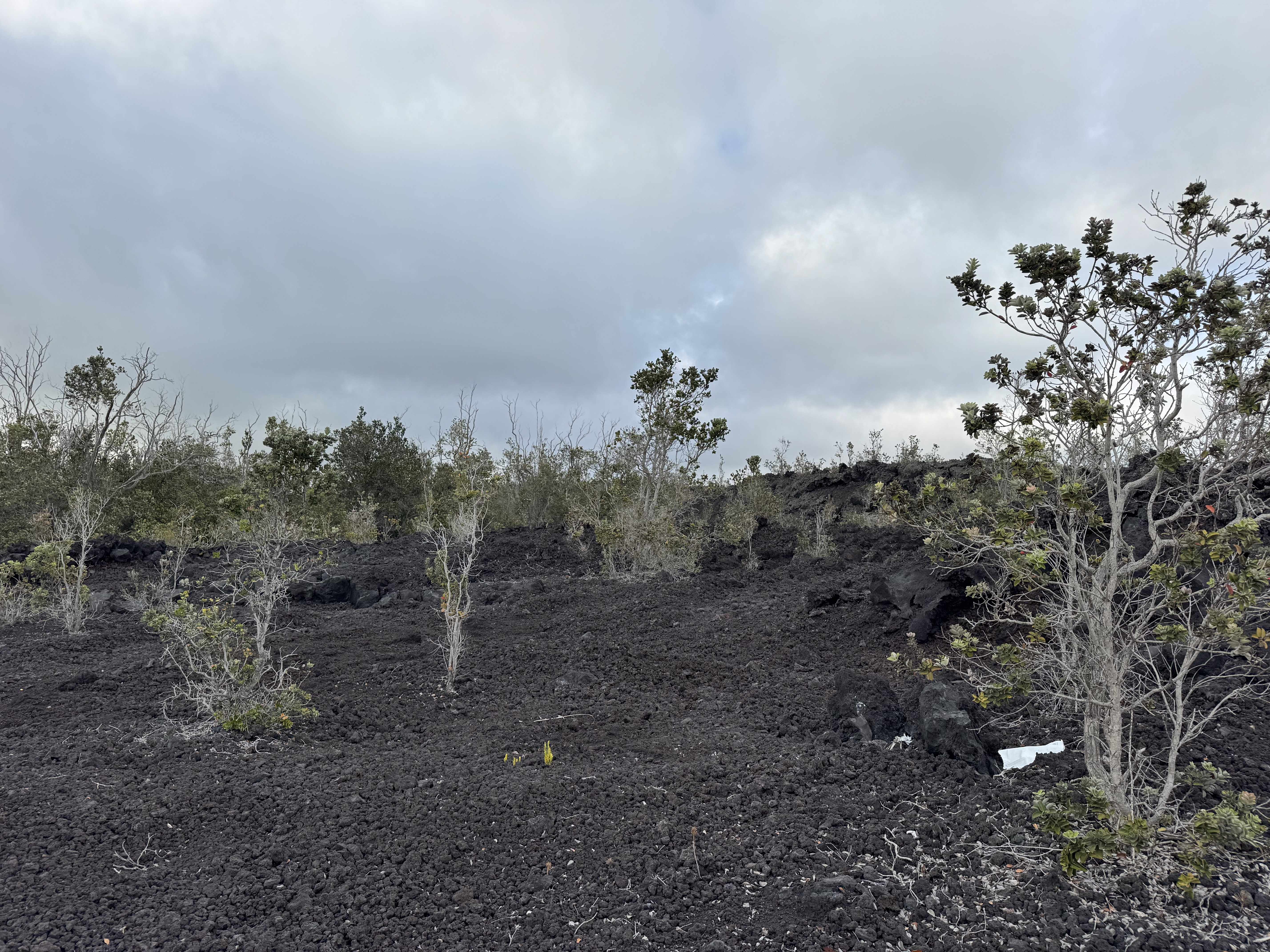 Ocean View, HI 96737,OCEAN VIEW PKWY