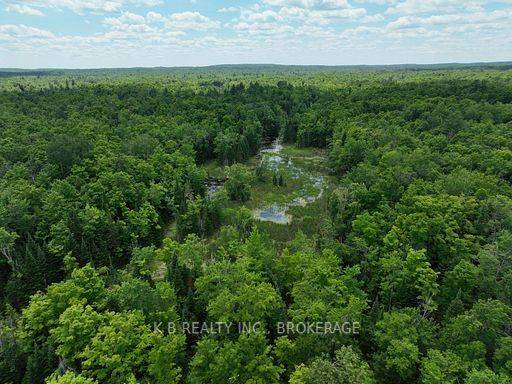 Tudor And Cashel, ON K0K 1Y0,17887 62 HWY