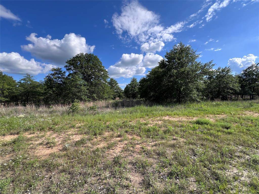 Clyde, TX 79510,TBD Lot 31 Live Oak Trail