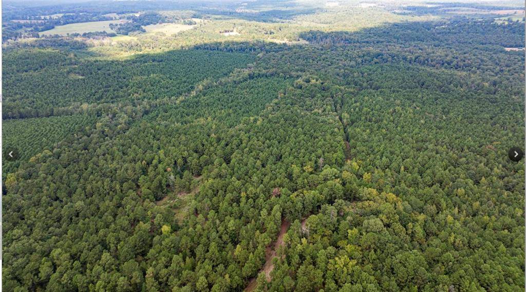 Avinger, TX 75630,TBD County Road 1582