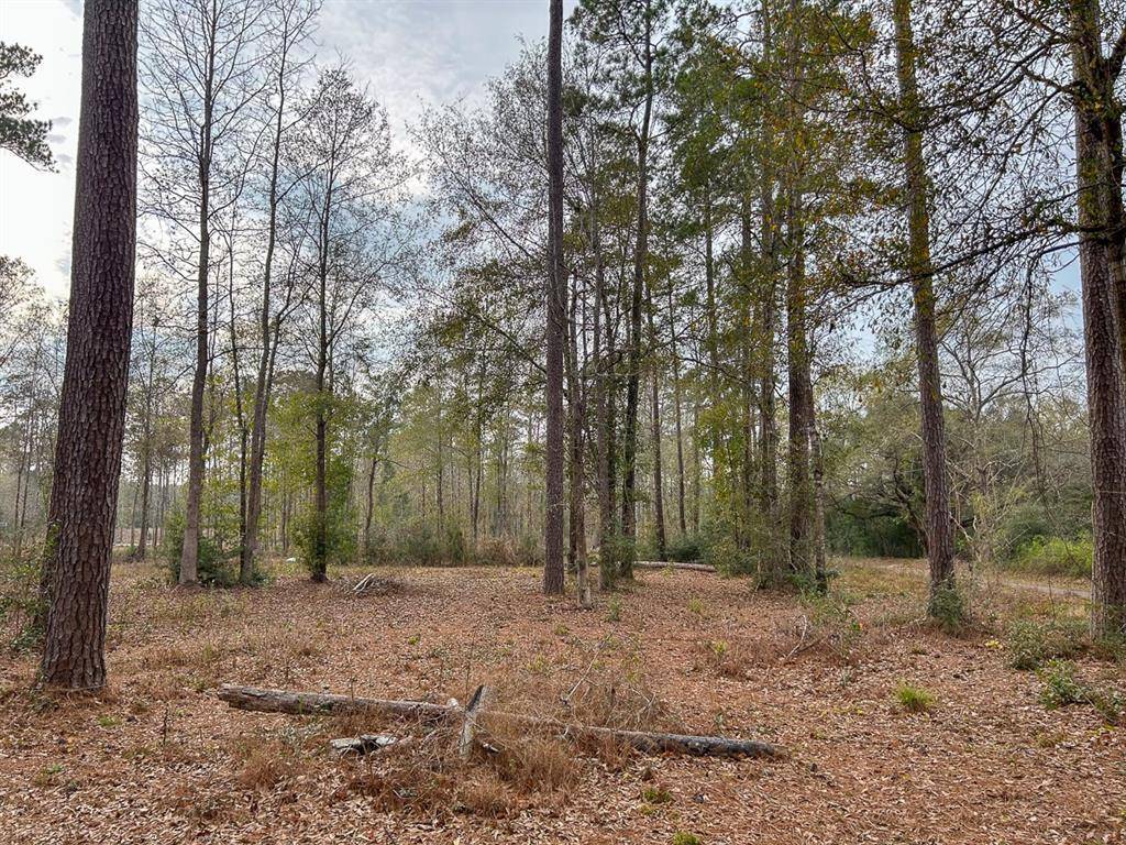 Warren, TX 77664,TBD County Road 1520